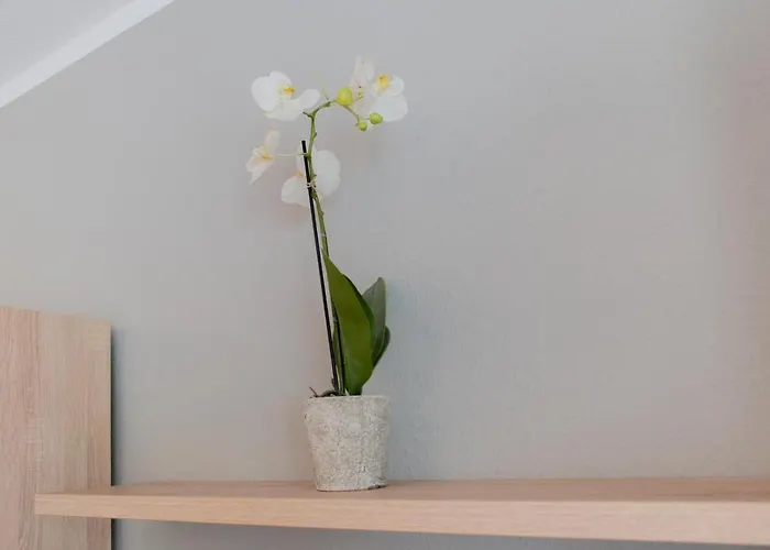 Gorch Fock Park 19 * Timmendorfer Strand